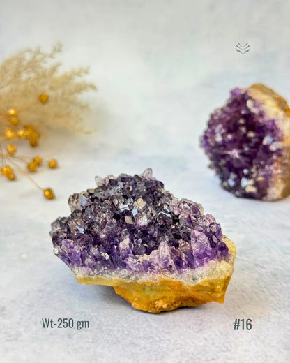 LightCoded Amethyst Cluster 