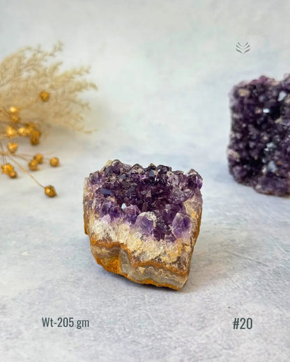LightCoded Amethyst Cluster 