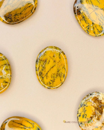 LightCoded Invite Luxury - Palm Stone 