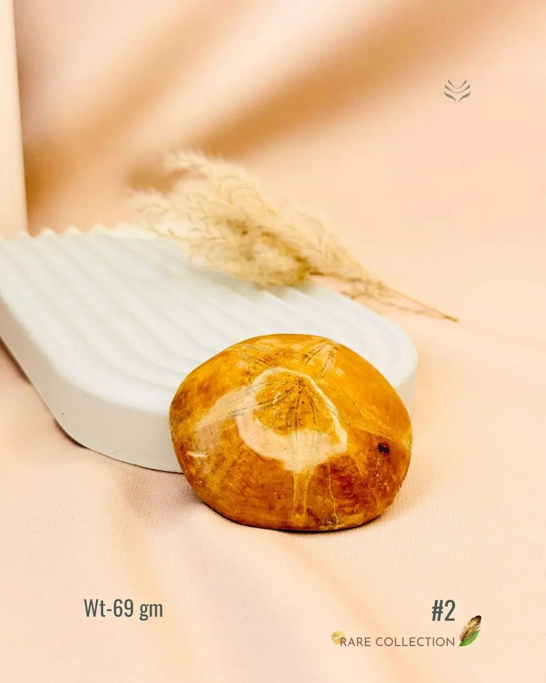 LightCoded Shield Against Envy - Sea Urchin 