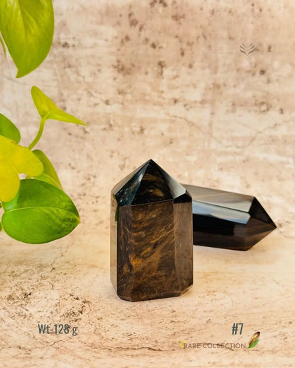 LightCoded Wealth Protector Copper Obsidian 