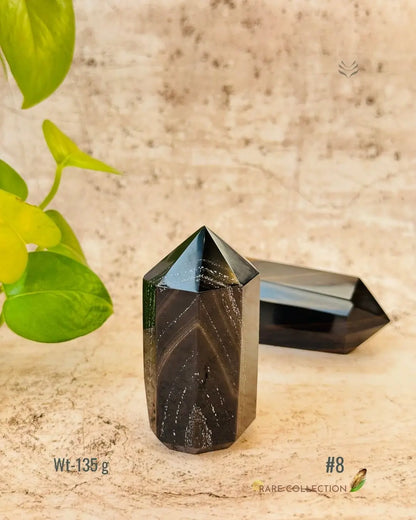 LightCoded Wealth Protector Copper Obsidian 