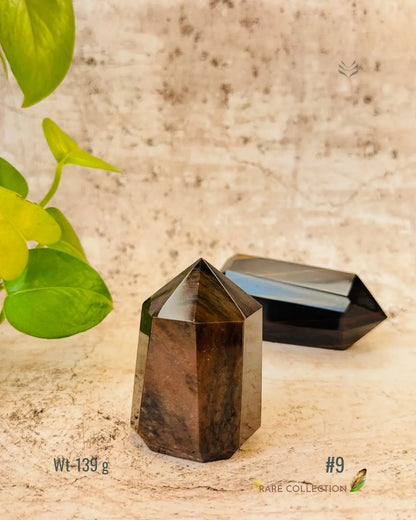 LightCoded Wealth Protector Copper Obsidian 