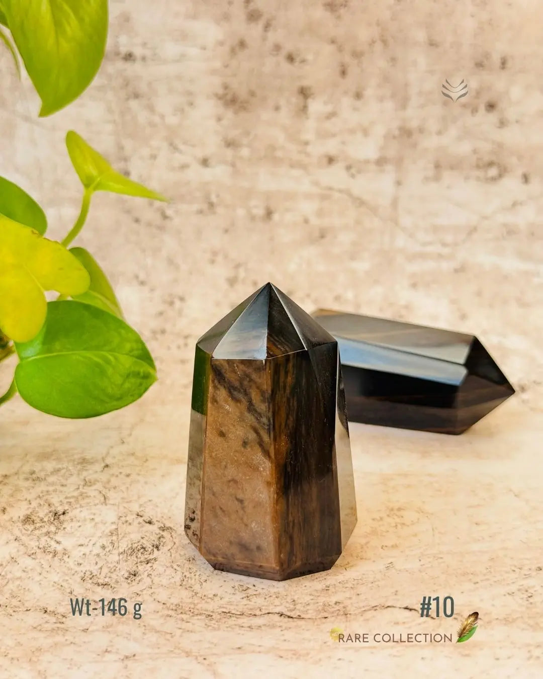 LightCoded Wealth Protector Copper Obsidian 