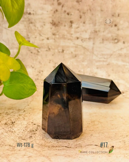 LightCoded Wealth Protector Copper Obsidian 