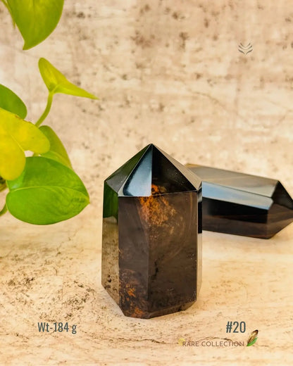 LightCoded Wealth Protector Copper Obsidian 