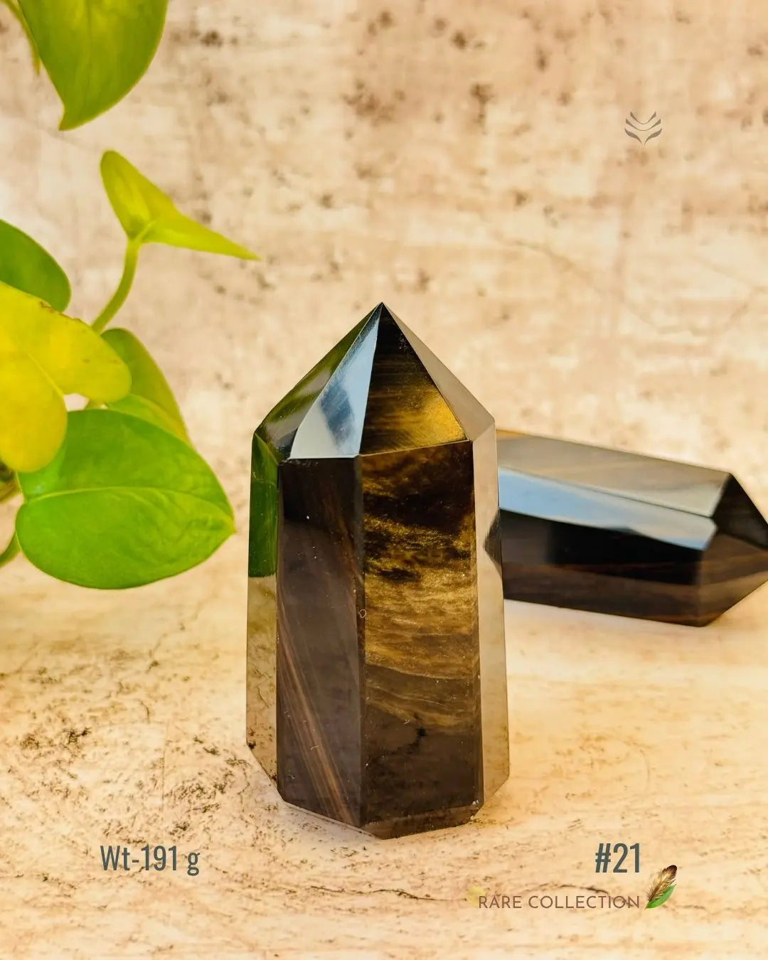 LightCoded Wealth Protector Copper Obsidian 