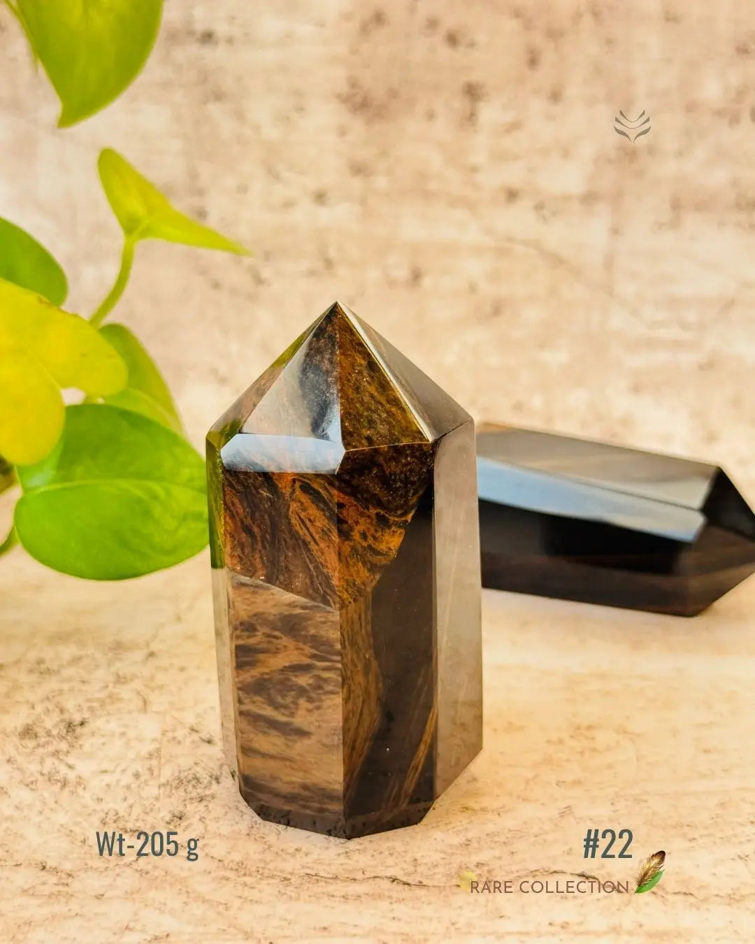 LightCoded Wealth Protector Copper Obsidian 