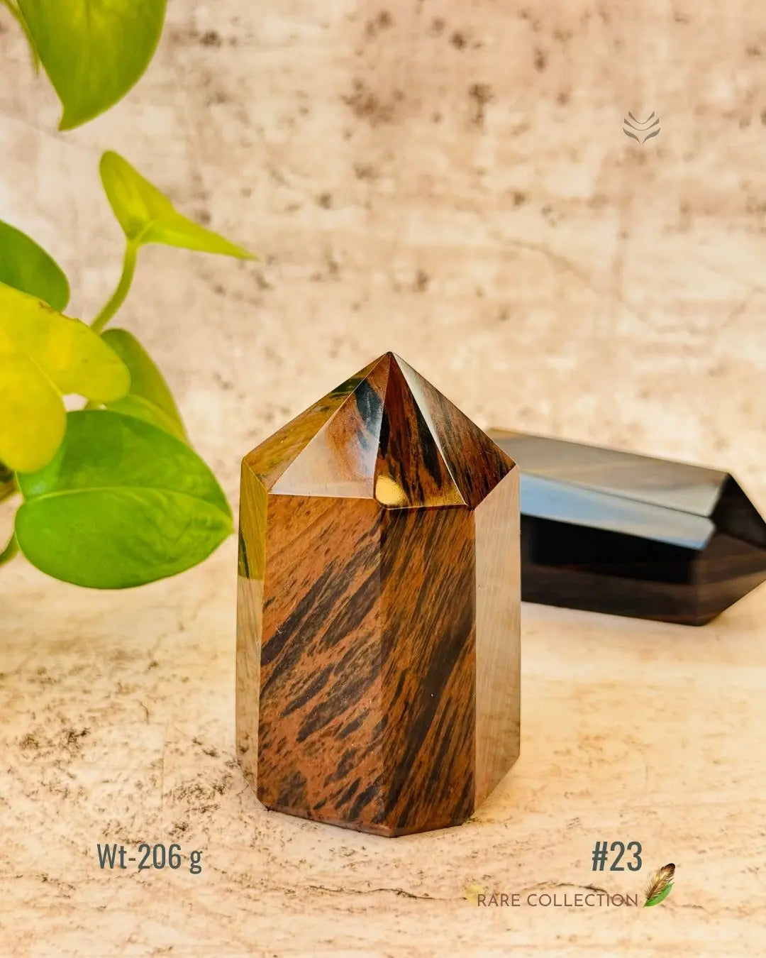 LightCoded Wealth Protector Copper Obsidian 