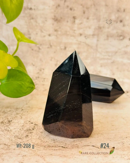 LightCoded Wealth Protector Copper Obsidian 