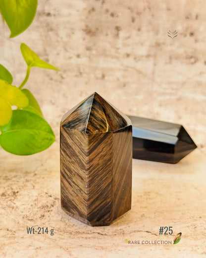 LightCoded Wealth Protector Copper Obsidian 