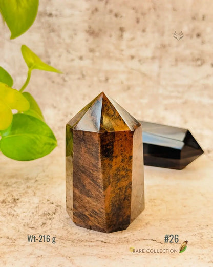 LightCoded Wealth Protector Copper Obsidian 