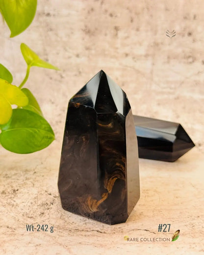 LightCoded Wealth Protector Copper Obsidian 