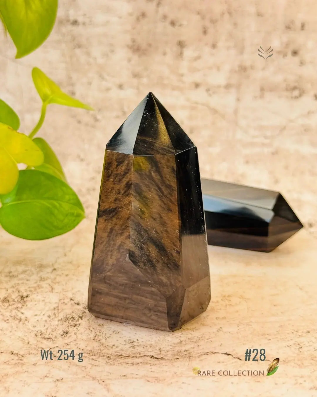 LightCoded Wealth Protector Copper Obsidian 