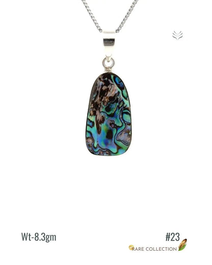 Lightcoded Anti-worry Abalone Shell Pendant 
