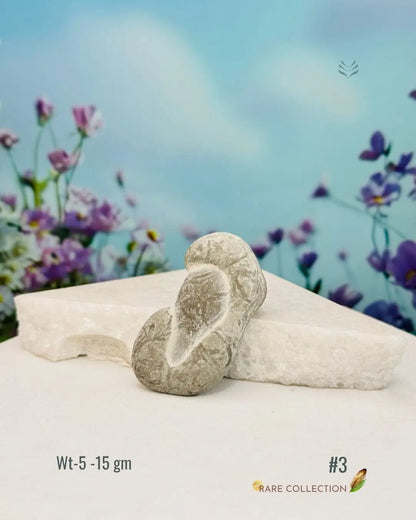 Lightcoded Fairy Stone - Magical Footprint 