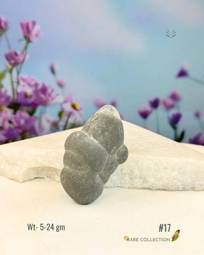 Lightcoded Fairy Stone - Magical Footprint 