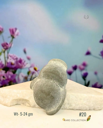 Lightcoded Fairy Stone - Magical Footprint 