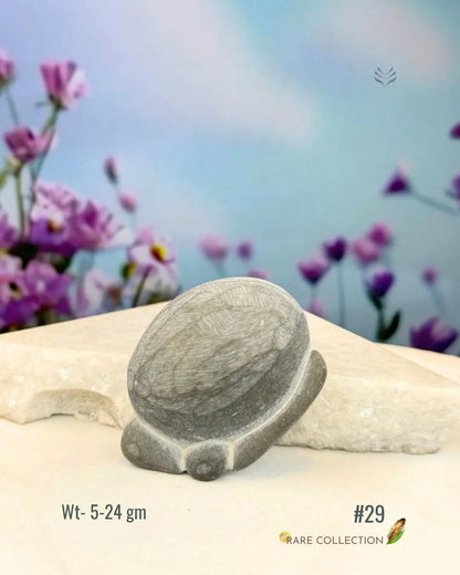 Lightcoded Fairy Stone - Magical Footprint 