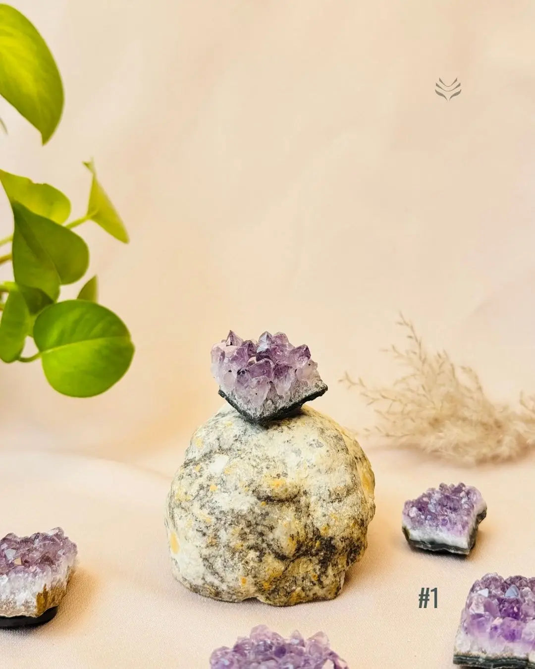 Lightcoded Good Health Fridge Magnets - Amethyst 