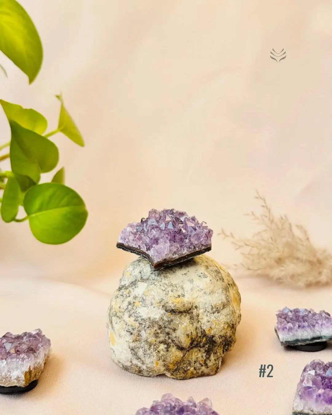 Lightcoded Good Health Fridge Magnets - Amethyst 