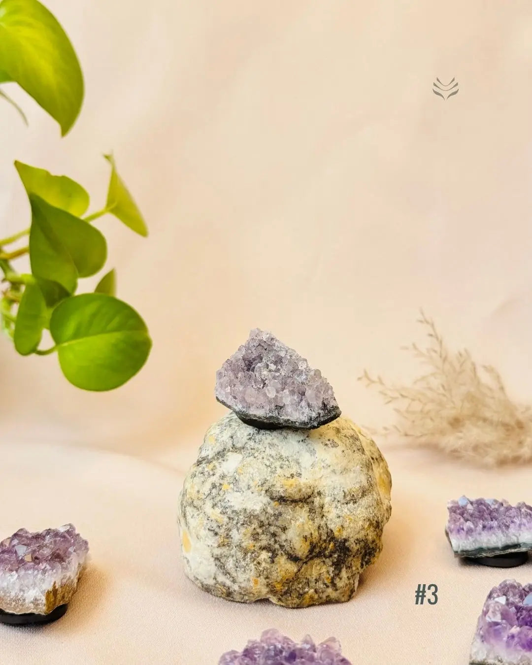 Lightcoded Good Health Fridge Magnets - Amethyst 