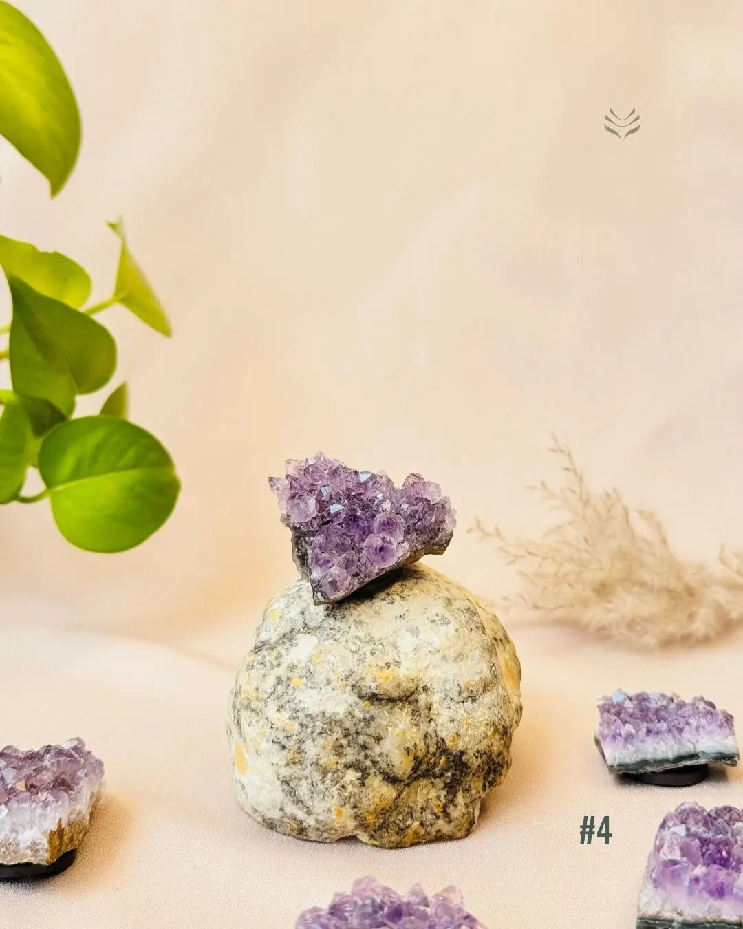 Lightcoded Good Health Fridge Magnets - Amethyst 