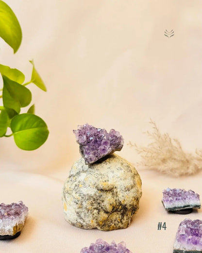 Lightcoded Good Health Fridge Magnets - Amethyst 