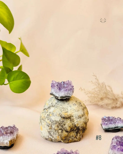 Lightcoded Good Health Fridge Magnets - Amethyst 