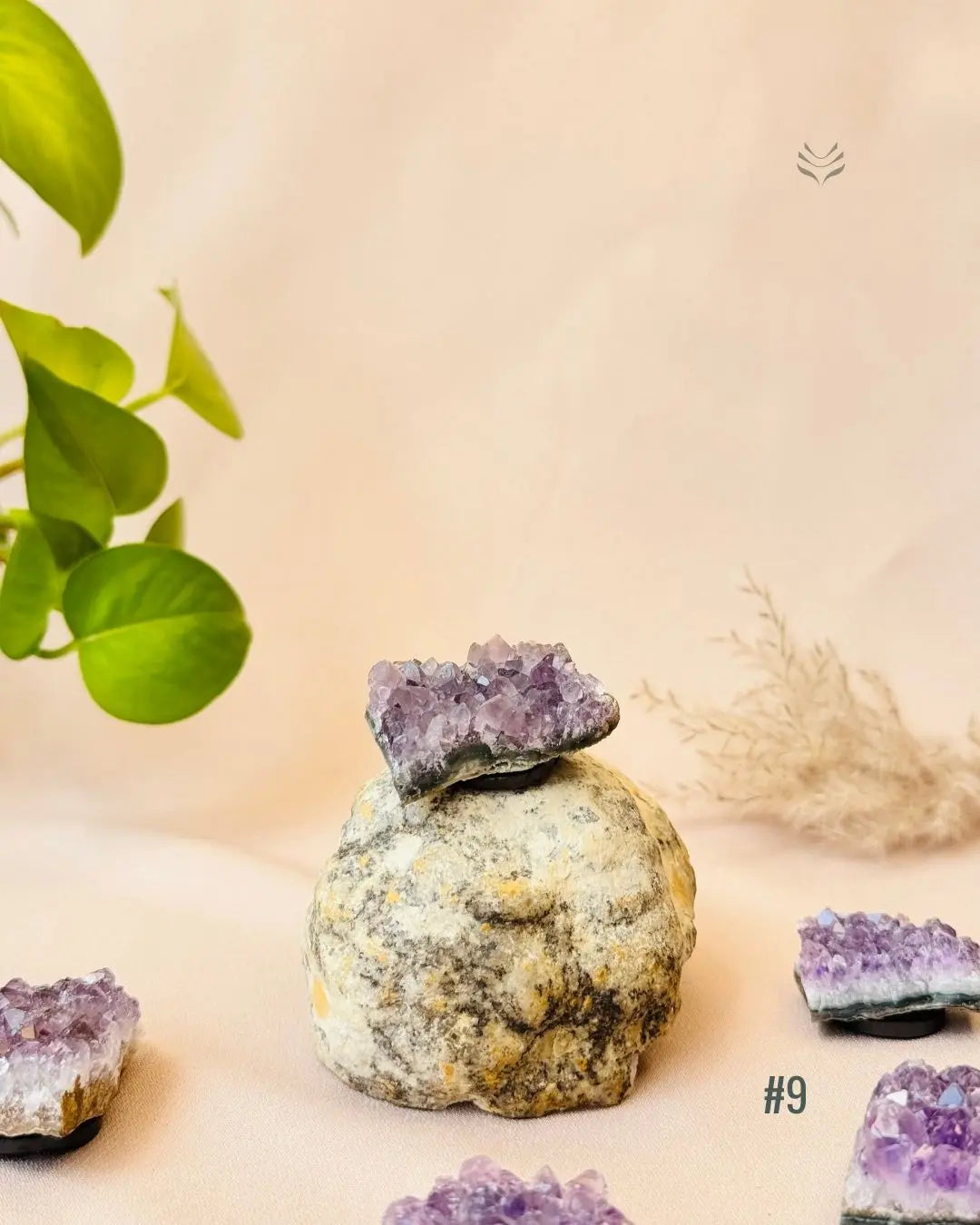 Lightcoded Good Health Fridge Magnets - Amethyst 