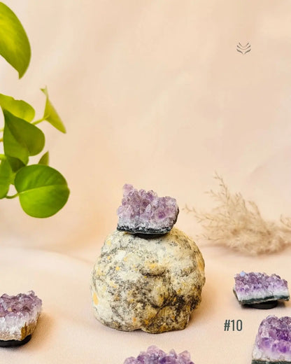 Lightcoded Good Health Fridge Magnets - Amethyst 