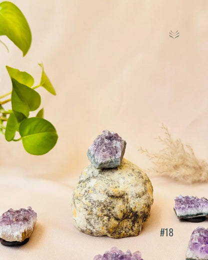 Lightcoded Good Health Fridge Magnets - Amethyst 