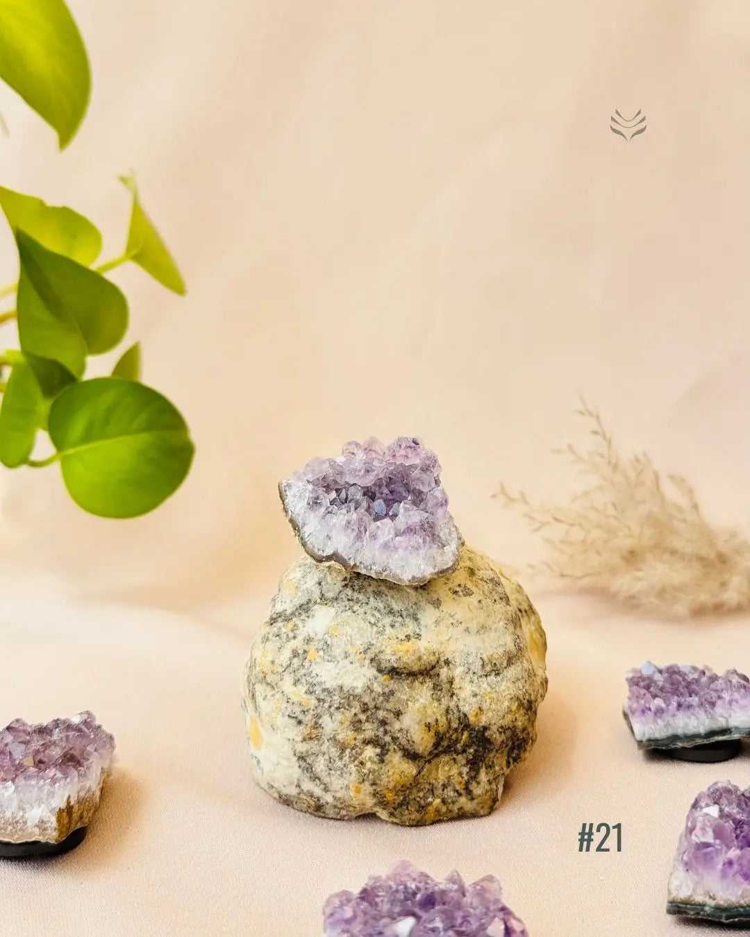 Lightcoded Good Health Fridge Magnets - Amethyst 