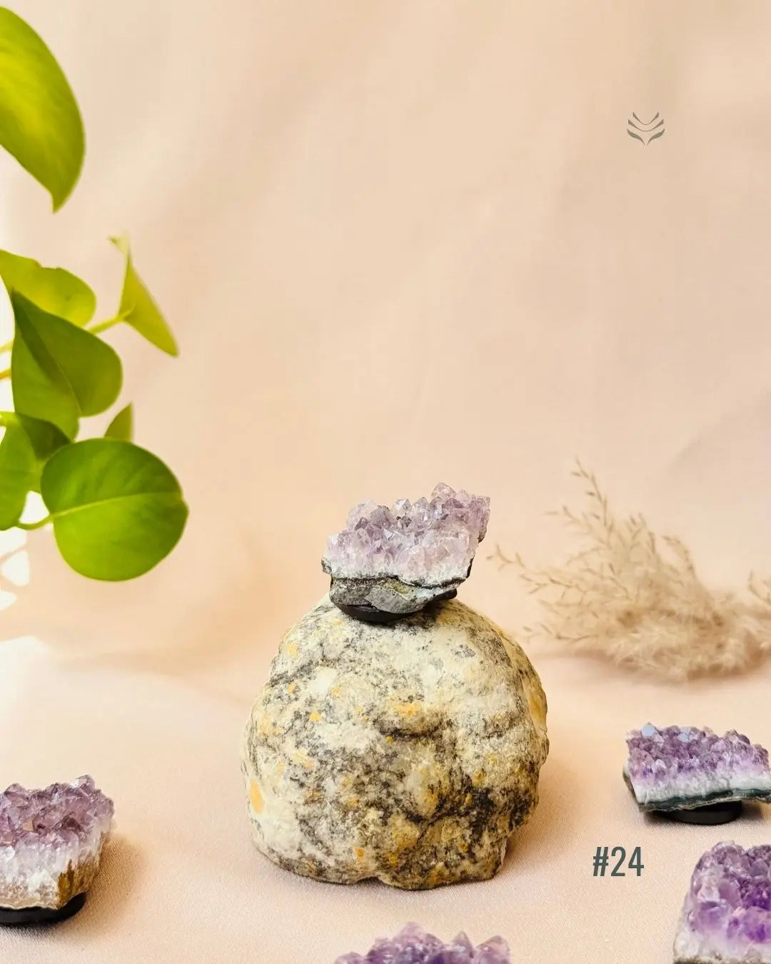 Lightcoded Good Health Fridge Magnets - Amethyst 