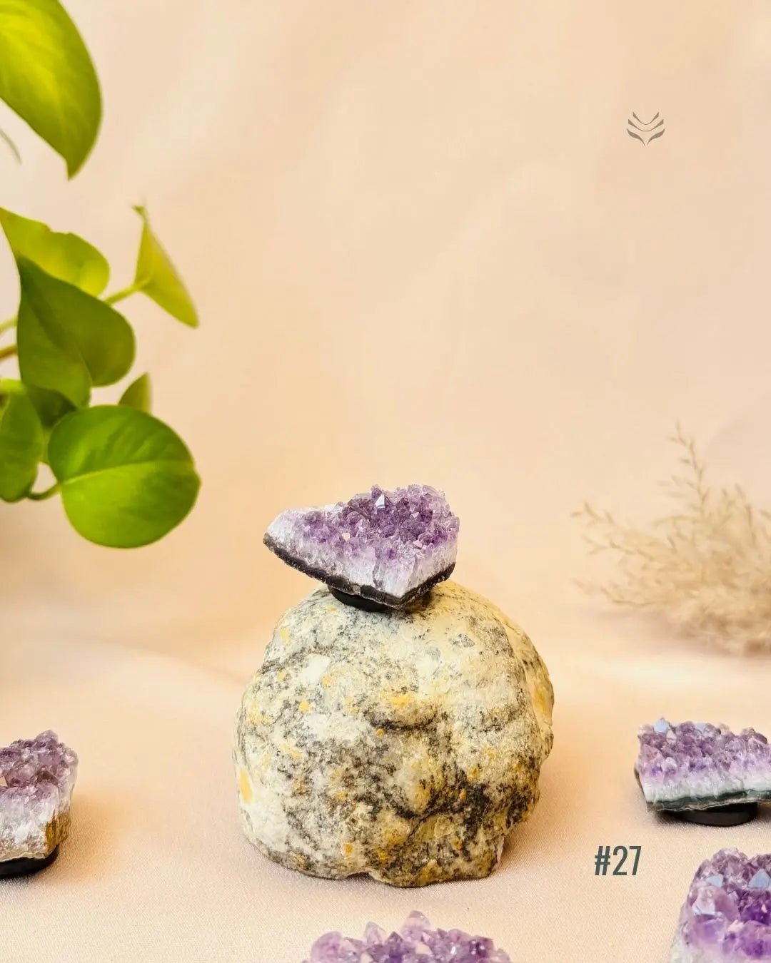 Lightcoded Good Health Fridge Magnets - Amethyst 