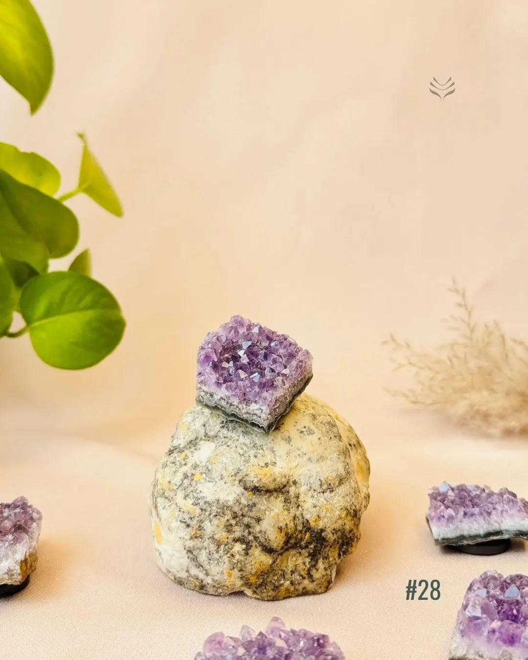 Lightcoded Good Health Fridge Magnets - Amethyst 