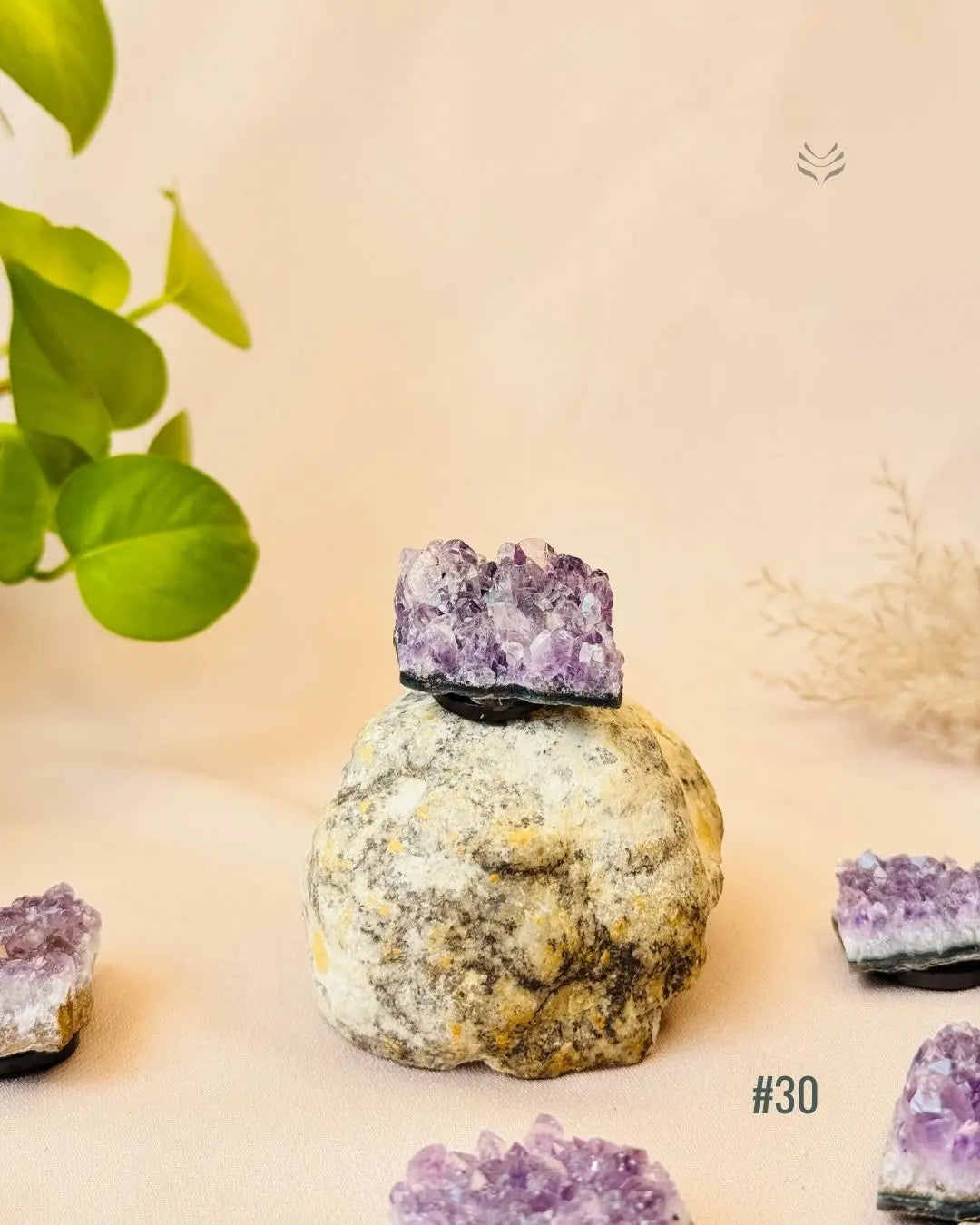 Lightcoded Good Health Fridge Magnets - Amethyst 