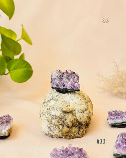 Lightcoded Good Health Fridge Magnets - Amethyst 