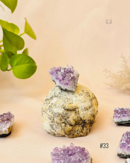 Lightcoded Good Health Fridge Magnets - Amethyst 