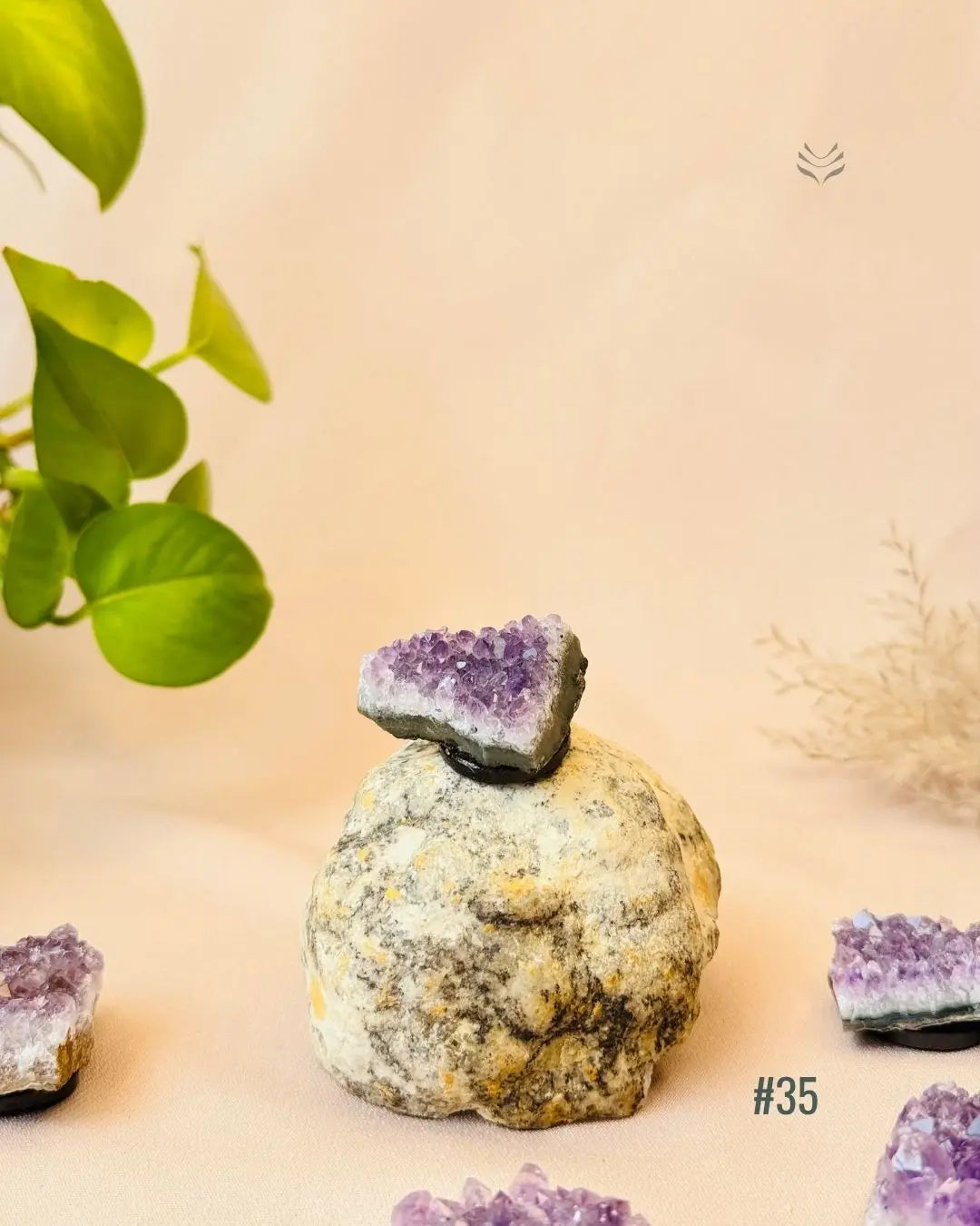 Lightcoded Good Health Fridge Magnets - Amethyst 