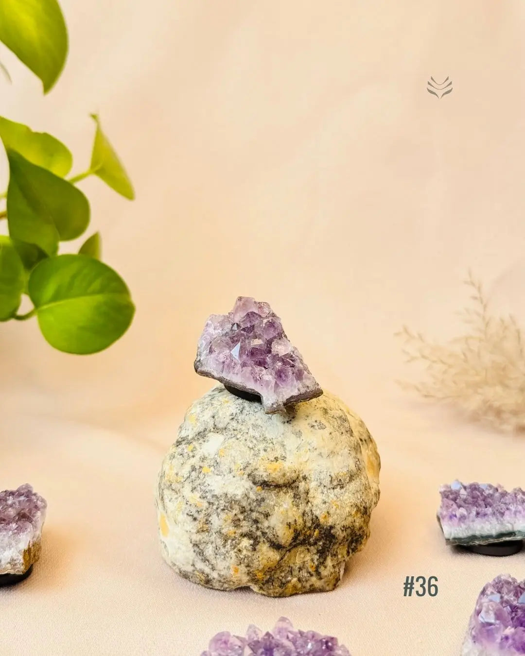 Lightcoded Good Health Fridge Magnets - Amethyst 