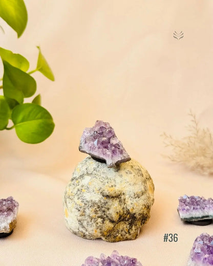 Lightcoded Good Health Fridge Magnets - Amethyst 