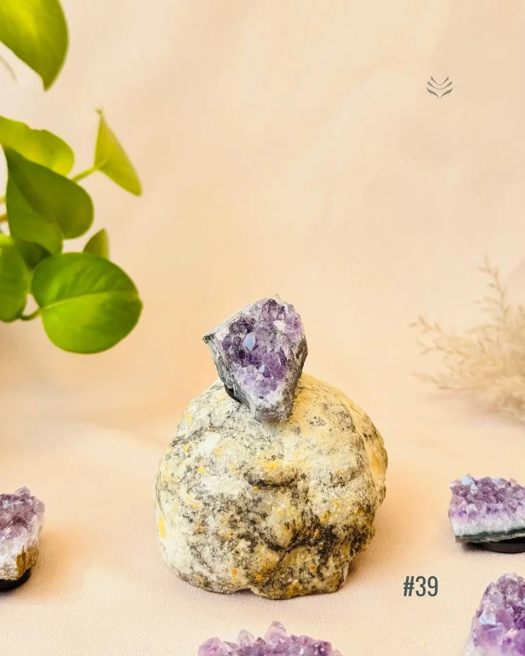 Lightcoded Good Health Fridge Magnets - Amethyst 