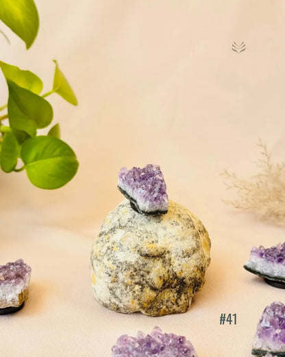 Lightcoded Good Health Fridge Magnets - Amethyst 