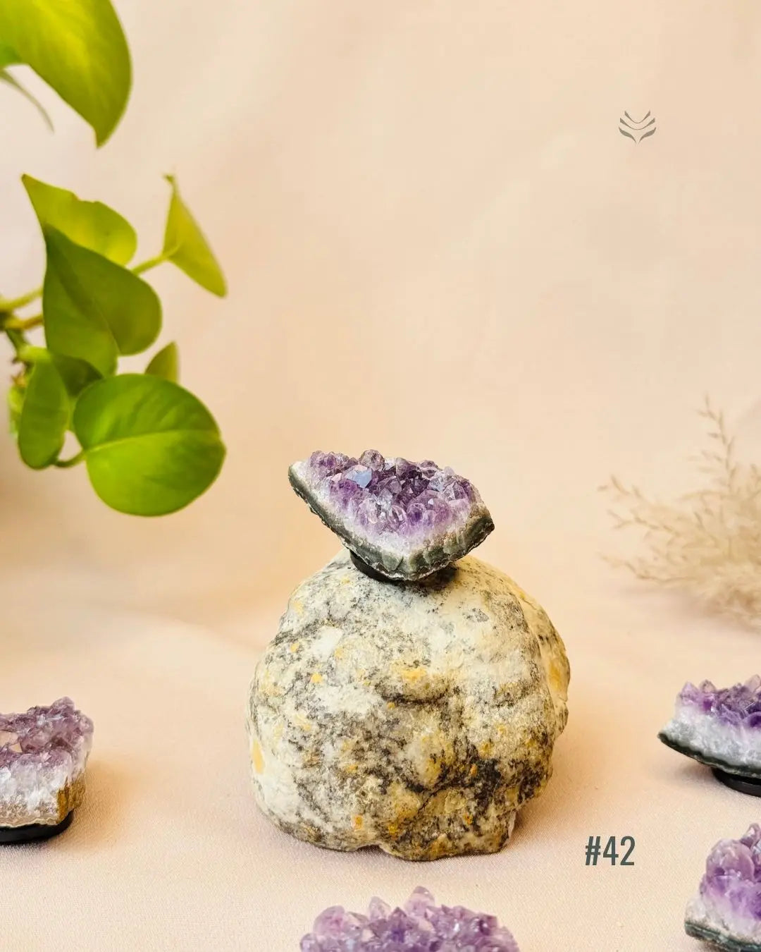 Lightcoded Good Health Fridge Magnets - Amethyst 