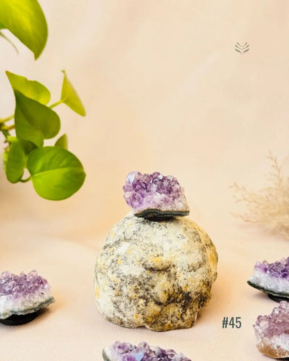 Lightcoded Good Health Fridge Magnets - Amethyst 