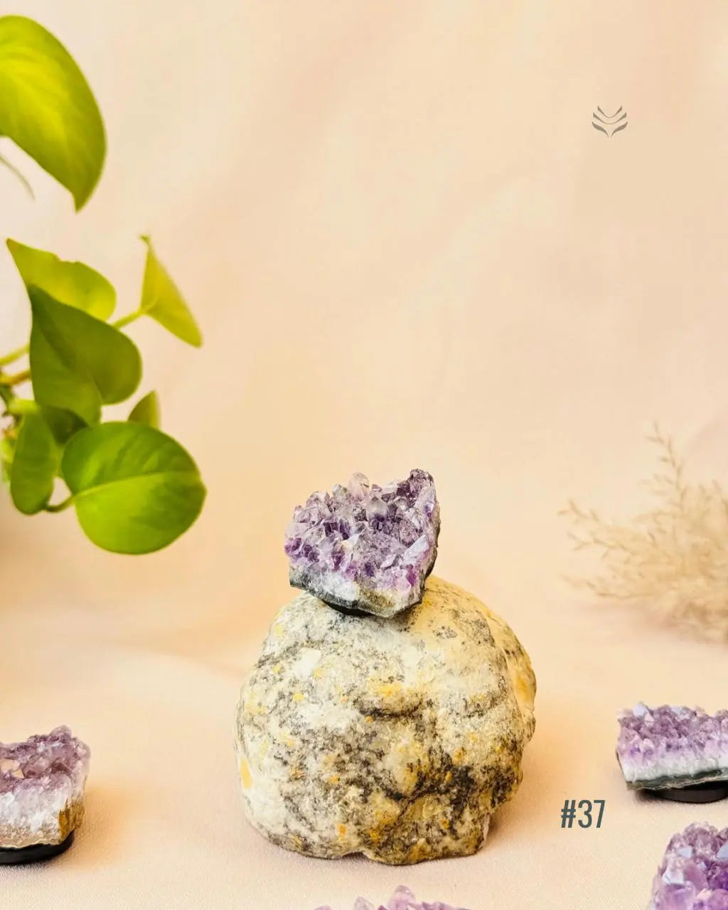 Lightcoded Good Health Fridge Magnets - Amethyst 