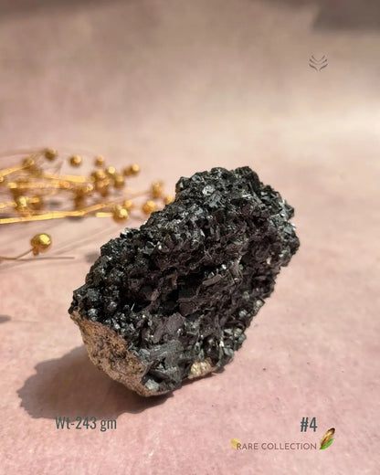 Lightcoded Karmic Wealth Protector Tourmaline 