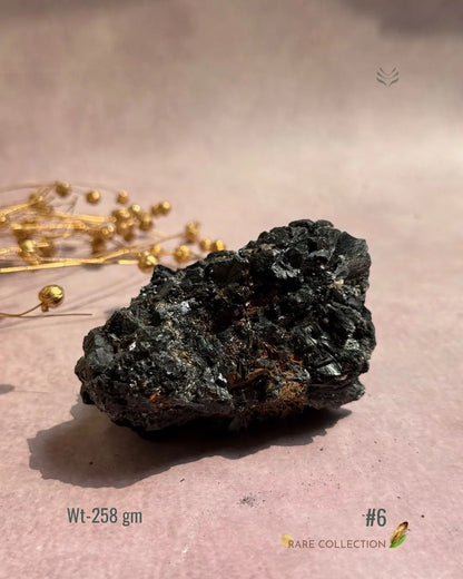 Lightcoded Karmic Wealth Protector Tourmaline 