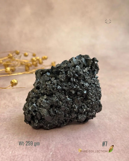 Lightcoded Karmic Wealth Protector Tourmaline 